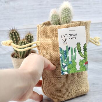 Cactus Jute Bag Grow Set, 4 of 9