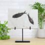 Xl Knightia Alta Fish Bespoke Steel Stand Real Authentic Dinosaur Fossil Natural History Interior Design Home Decor Display Gift Ornament, thumbnail 1 of 5