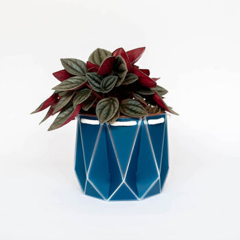 Origami Self Watering Eco Plant Pot: 10cm | Navy, 4 of 9