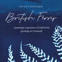 British Ferns Postcard Pack Of Five, thumbnail 7 of 7