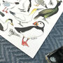 Coastal Birds Of Britain Illustrated Postcard, thumbnail 6 of 8