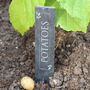 Engraved Personalised Slate Vegetable Plant Markers, thumbnail 1 of 4