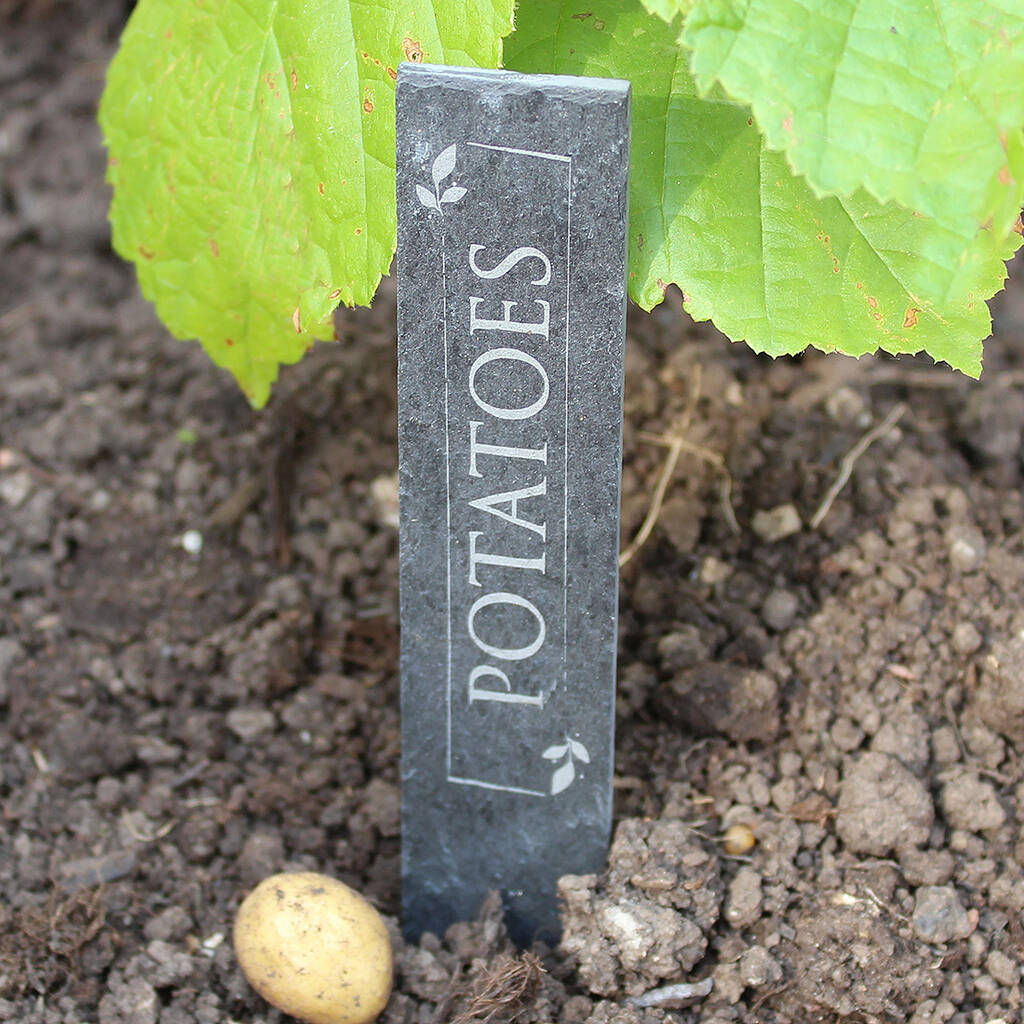 Engraved Personalised Slate Vegetable Plant Markers, 1 of 4