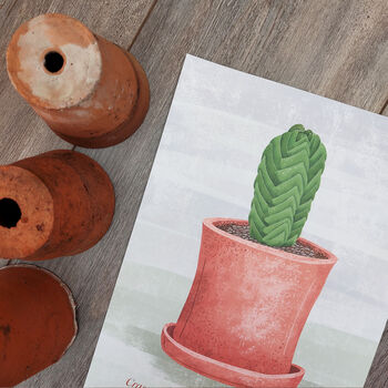 Buddha's Temple Plant Illustrated Print, 5 of 5
