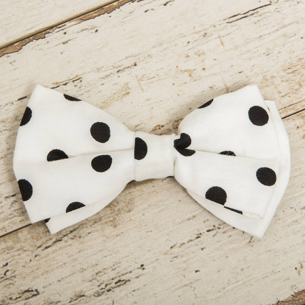 The Mayfair Black And White Spotty Dog Collar Bow Tie By Percy and Co.
