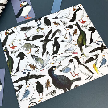 Coastal Birds Of Britain Wrapping Paper Set, 2 of 9
