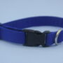 Bright Blue Dog Collar, thumbnail 2 of 12