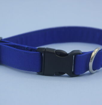 Bright Blue Dog Collar, 2 of 12