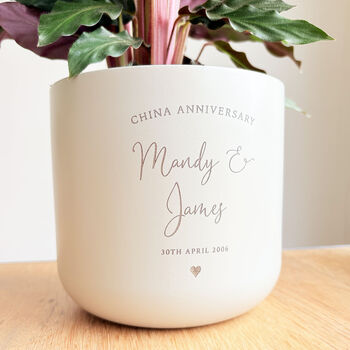 Personalised 20th China Anniversary Gift | Indoor Pot Add Plant, 2 of 7