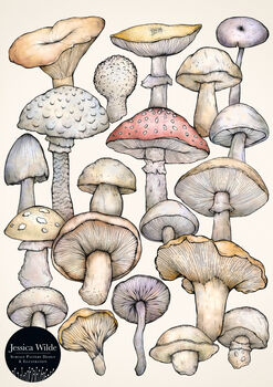 Wild Mushroom Fine Art Giclée Print, 2 of 2