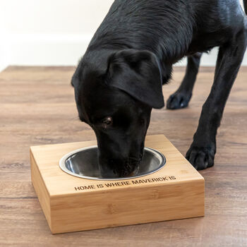 Personalised Home Is Large Pet Bowl, 3 of 3