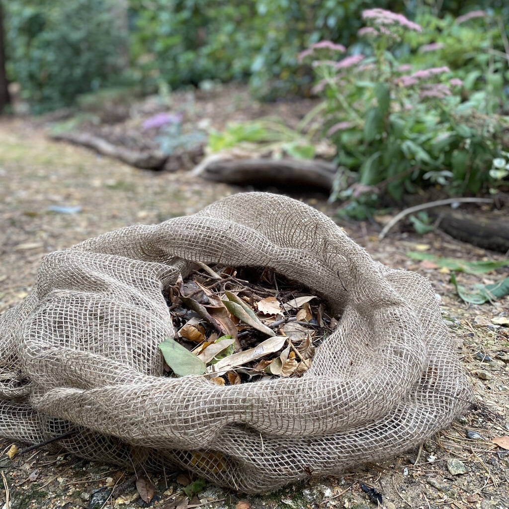 Compostable Leaf Sacks Pack Of 10 By Garden Selections