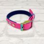 Waterproof Dog Collar And Lead Set Navy/Electric Pink, thumbnail 2 of 3