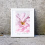Minimalist Pink Rose Flower Photography Print, thumbnail 2 of 2