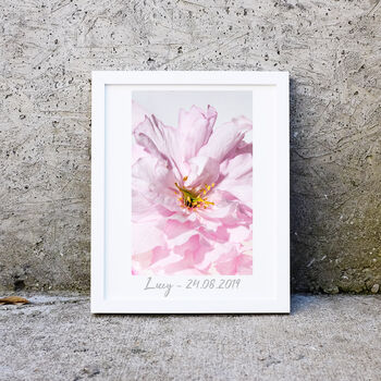 Minimalist Pink Rose Flower Photography Print, 2 of 2
