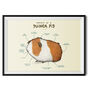 Anatomy Of A Guinea Pig Art Print By Sophie Corrigan, thumbnail 2 of 4