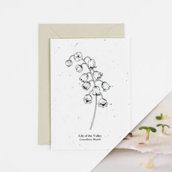 Lily Of The Valley May Birth Flower Plantable Card, 2 of 4