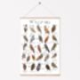 The A To Z Of Owls Print, thumbnail 6 of 6