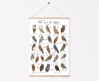 The A To Z Of Owls Print, 6 of 6