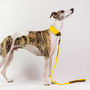 Personalised Cork And Felt Greyhound Dog Collar, thumbnail 7 of 10