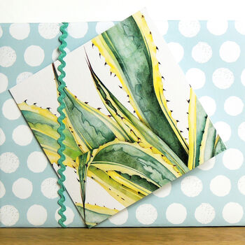 Agave Greetings Card, 3 of 5