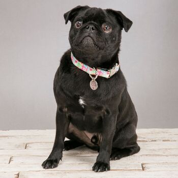 Clifton Adjustable Multi Rainbow Floral Dog Collar, 2 of 4