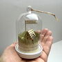 Personalised Camping Under The Stars Glass Dome Gift, thumbnail 9 of 10