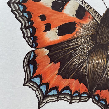 Small Tortoiseshell Illustrated Butterfly Print, 5 of 5
