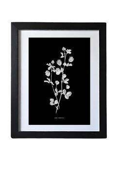 Nine Framed Botanical Wall Art Prints, 4 of 12