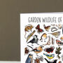 Garden Wildlife Of Britain Greeting Card, thumbnail 4 of 8