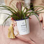 Personalised Engraved Planter, thumbnail 4 of 4