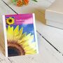 Wildflower Seed Wedding Favours In Moire Boxes, thumbnail 6 of 9