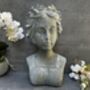 38cm Grey Female Bust Statue Elegant Lady Head Decor, thumbnail 8 of 12