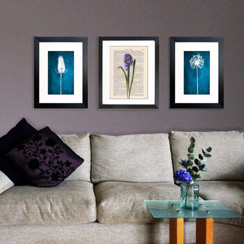 Hyacinth, Vintage Collection Print, 6 of 6