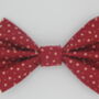 Red Star Dog Bow Tie, thumbnail 2 of 4