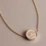 Personalised Rainbow Rose Gold Tone Disc Necklace For Her, thumbnail 3 of 3