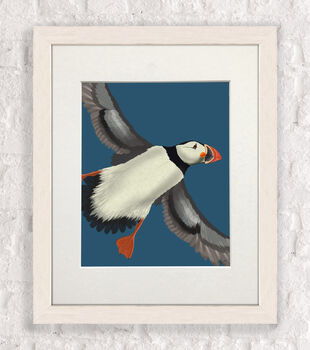 Puffin In Flight Art Print Framed Or Unframed, 5 of 7