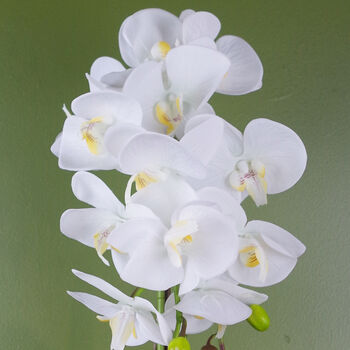 White Artificial Orchid Large Gold 52cm Real Touch, 3 of 3