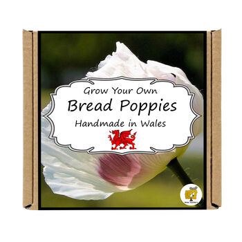 Gardening Gift. Bread Poppy Flowers Growing Kit, 4 of 4