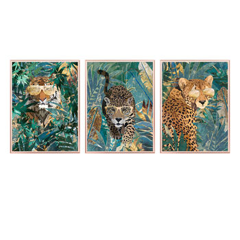 Framed Three Prints Big Cat Jungle Tiger Cheetah Jaguar, 5 of 6