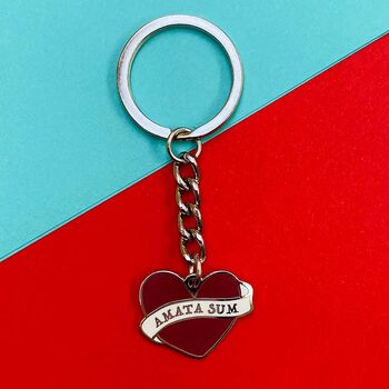 I Am Loved Latin Motto Enamel Keyring Gift, 3 of 5