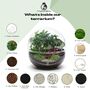 Large Terrarium Kit |'Zagreb', thumbnail 7 of 12