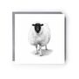 Hand Drawn Woolly Sheep Countryside Greeting Card, thumbnail 2 of 6