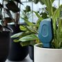Smartyplants Monitor For Healthy Plants Perfect For Plant Lovers Bundle, thumbnail 1 of 6
