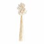 White Bunny Tail Dried Flowers 20 Stems 65cm, thumbnail 8 of 8