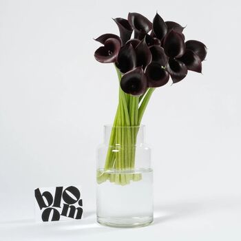 Ebony Black Calla Lily Fresh Flower Bouquet, 2 of 2