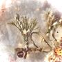 Christmas Woodland Bunny Fairy Tree Topper, thumbnail 6 of 11