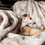 Faux Fur Blanket In Oatmeal, thumbnail 1 of 5