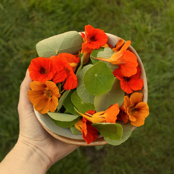 Nasturtium Greetings Card With Seeds, 2 of 8