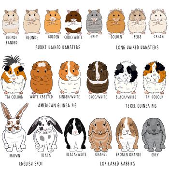 Personalised Back To School Lunch Bag With Pet On, 12 of 12